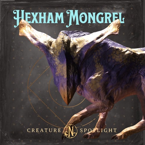 Hexham Mongrel