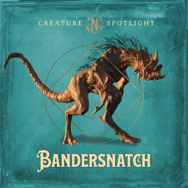 Antiquarian Bear