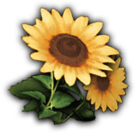 an image of the Nightingale item Sunflower