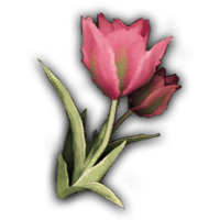an image of the Nightingale item Tulip