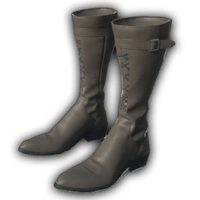 an image of the Nightingale item Druidic Boots
