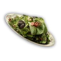 an image of the Nightingale item/resource Salad