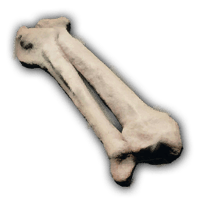 an image of the Nightingale item Bones