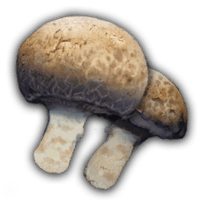 an image of the Nightingale item Spyrys Mushroom