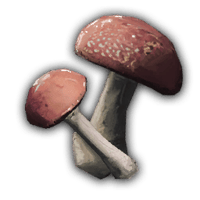 an image of the Nightingale item Raw Mushrooms