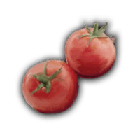 an image of the Nightingale item Tomato