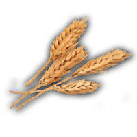 an image of the Nightingale item Wheat