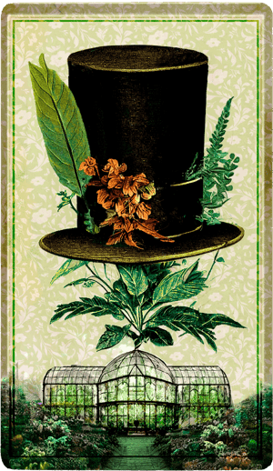 Herbarium Card