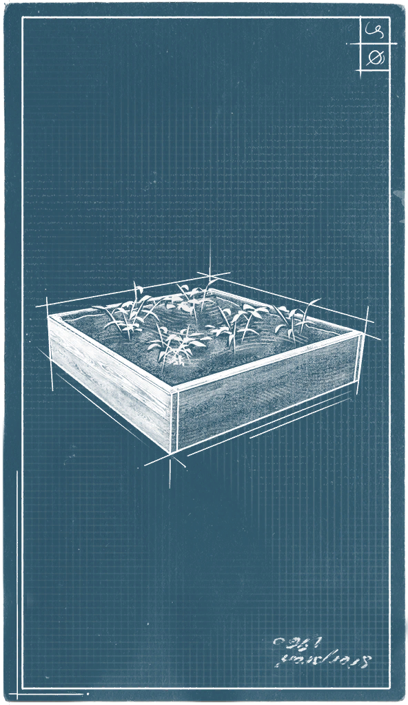 Plant Box