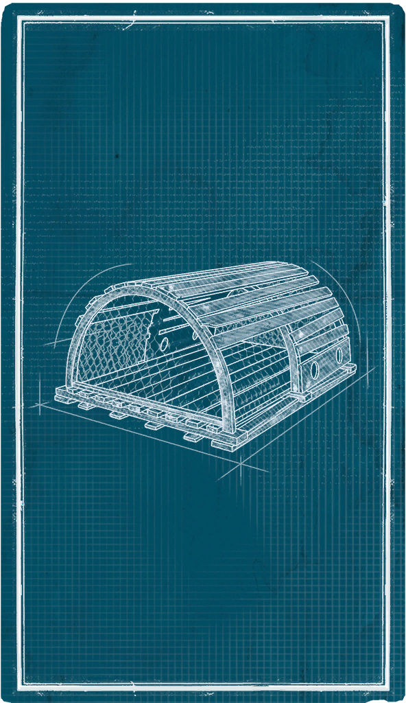 Fishing Trap