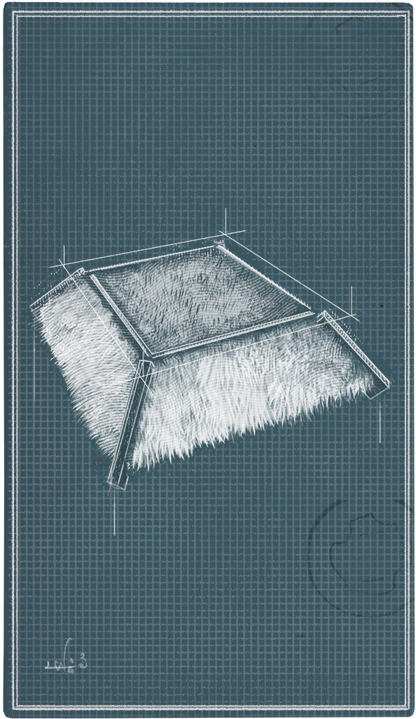 Shack Flat Roof