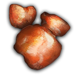 Polished Coral