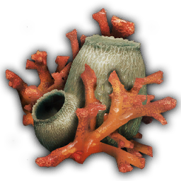 Coral