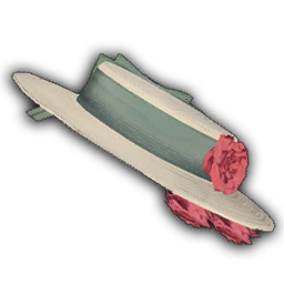 Elegant Bonnet