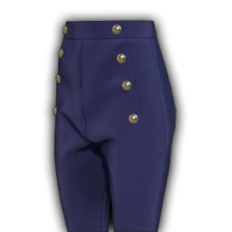 Aristocratic Breeches