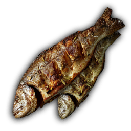 Catch of the Day