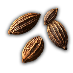 Roasted Seeds