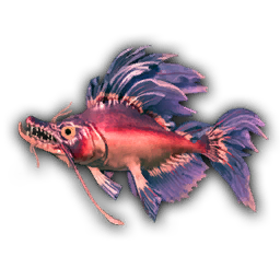 Raw Fish