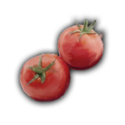 Tomato