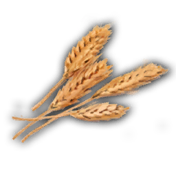 Flour Grain