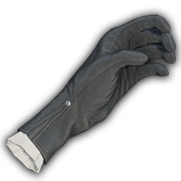 Scholar’s Gloves